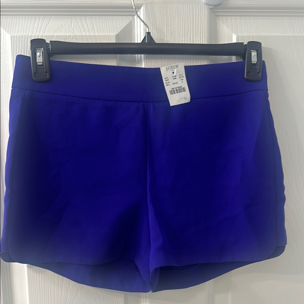 J. Crew Women's Blue/purple Shorts New with Tags size 2